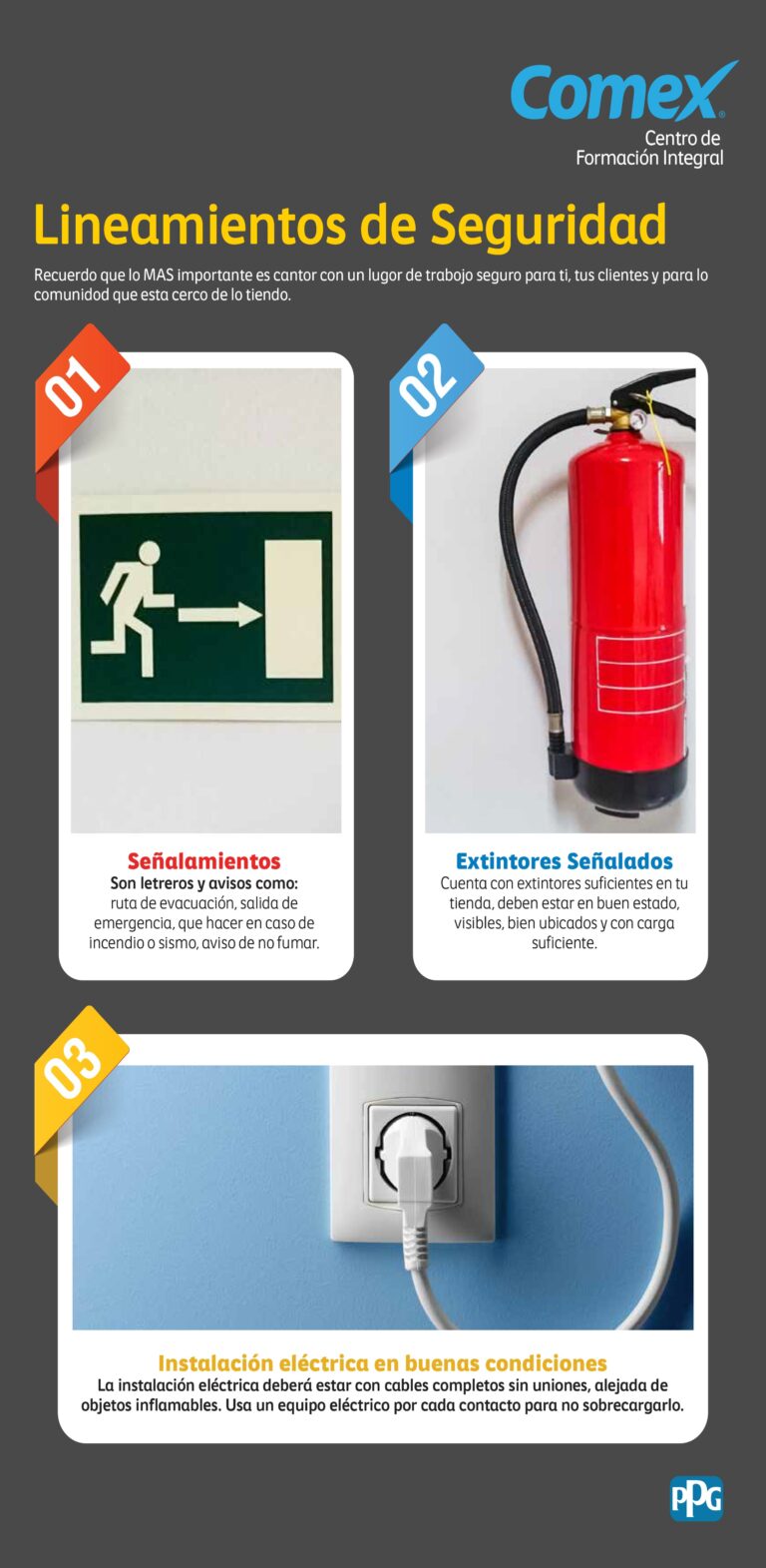 infografia_tienda_estilos-1